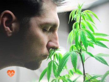 Детоксикация от марихуаны в Жуковском